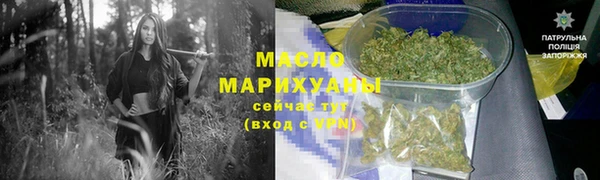 гидра Снежногорск