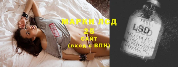 гидра Снежногорск