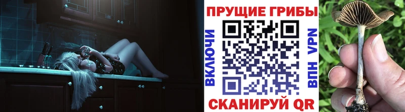 Псилоцибиновые грибы Psilocybe  Купить  Темников 